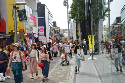 DSC_3587 (Large).JPG